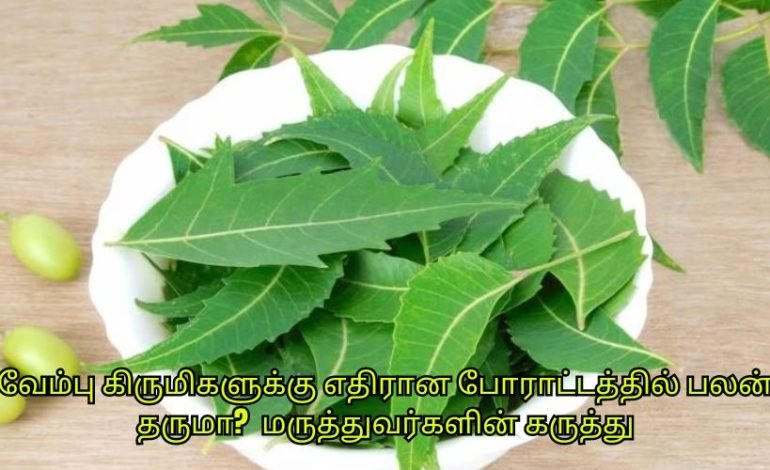 வேம்பு