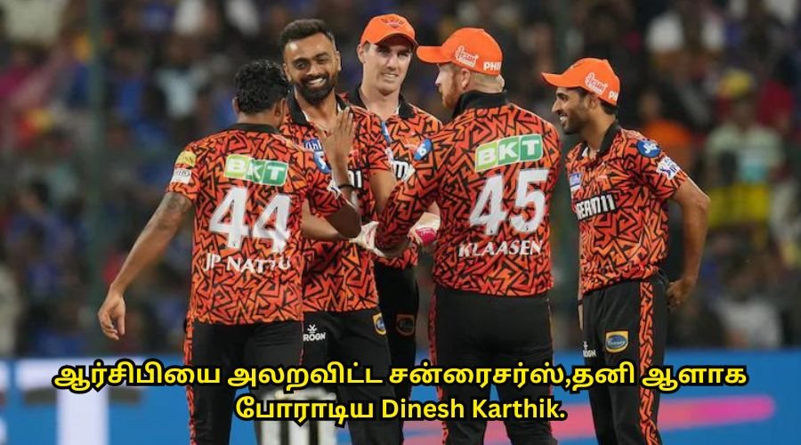 ஆர்சிபியை அலறவிட்ட சன்ரைசர்ஸ்,தனி ஆளாக போராடிய Dinesh Karthik.